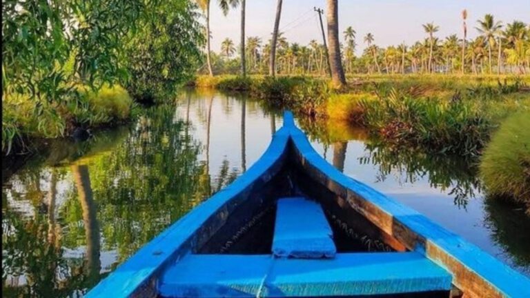 Kochi Village Life Tour – Explore Traditional Kerala in Tuk Tuk or Cab with Local Guide